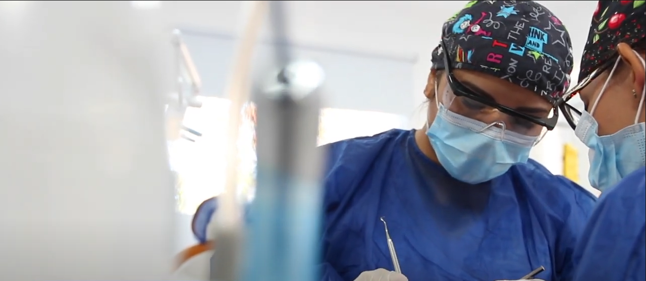 Licenciatura en Médico Cirujano Dentista Anáhuac Mayab